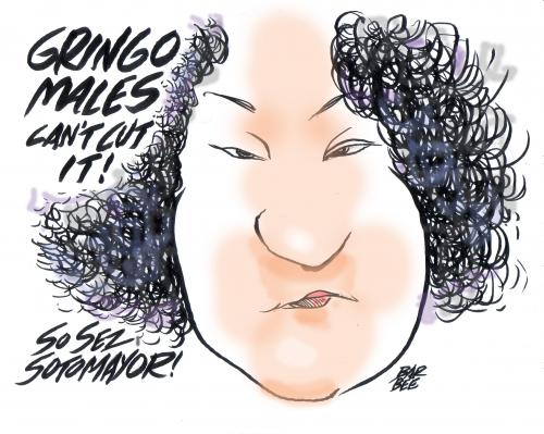 Cartoon: SOTOMAYOR (medium) by barbeefish tagged supremes