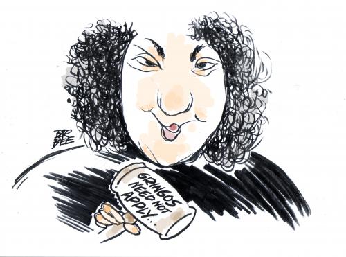 Cartoon: SOTOMAYOR (medium) by barbeefish tagged justice