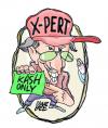 Cartoon: so called x pert (small) by barbeefish tagged pros,and,cons