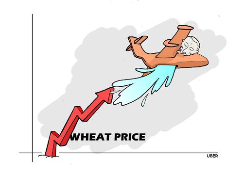 WHEAT PRICE RISING