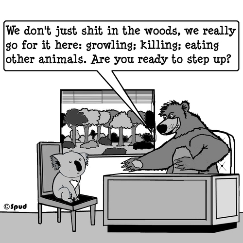 Cartoon: Bear 1 (medium) by cartoonsbyspud tagged cartoon,spud,hr,recruitment,office,life,outsourced,marketing,it,finance,business,paul,taylor