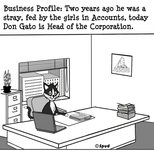Cartoon: Don Gato1 (medium) by cartoonsbyspud tagged cartoon,spud,hr,recruitment,office,life,outsourced,marketing,it,finance,business,paul,taylor