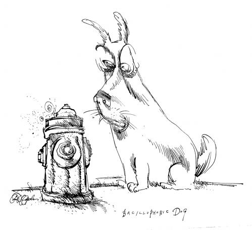 Bacteriophobic Dog Bacteriophobic Dog
