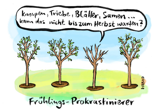 Cartoon: Frühlings-Prokrastinierer (medium) by habild tagged frühling,baum,bäume,aufschieben,prokrastinieren,blätter,triebe,austreiben,wachsen