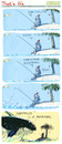 Cartoon: That s life (small) by portos tagged desert,island,castaway