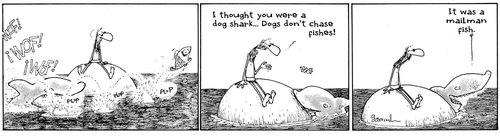 Cartoon: Dog shark (medium) by Garrincha tagged comic,strips