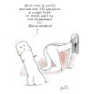 Cartoon: Magic trick (small) by Garrincha tagged sex,dickies,magic