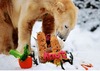 Cartoon: 4th Birthday of polar bear Knut (small) by 6aus49 tagged knut,polar,bear,zoo,berlin
