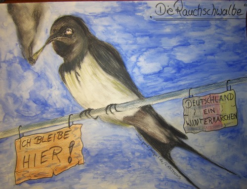 Cartoon: Knall Harte Entscheidung (medium) by boogieplayer tagged vögel