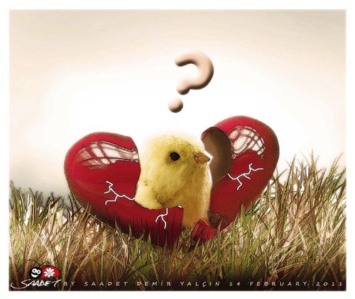 Cartoon: broken heart... (medium) by saadet demir yalcin tagged february,14,turkey,syalcin,saadet,sdy,love