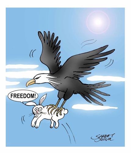 freedom toons