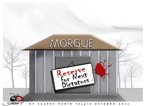 Cartoon: RESERVE (medium) by saadet demir yalcin tagged dictators,sdy,saadet
