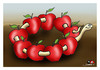 Cartoon: Capitalism... (small) by saadet demir yalcin tagged syalcin