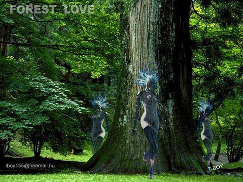 Cartoon: FOREST LOVE 2 (medium) by T-BOY tagged forest,love