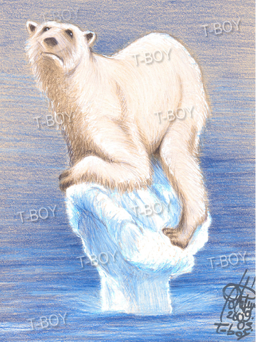 Cartoon: GLOBAL WARMING NO ICE (medium) by T-BOY tagged no,ice