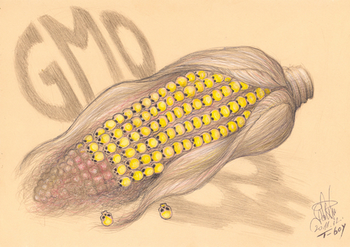Cartoon: GMO   N E V E R (medium) by T-BOY tagged gmo