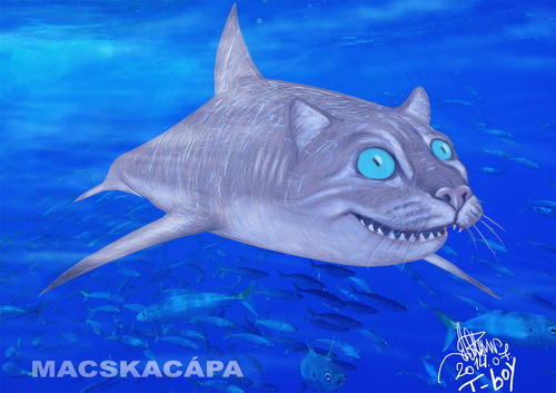 Cartoon: Scyliorhinus retifer (medium) by T-BOY tagged scyliorhinus,retifer