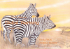 Cartoon: EVOLUTION  ZEBRA TEDDY (small) by T-BOY tagged evolution,zebra,teddy