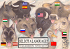 Cartoon: SELECT A LANGUAGE (small) by T-BOY tagged select,language