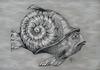 Cartoon: SNAIL FISH (small) by T-BOY tagged snail,fish