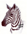 Cartoon: ZEBRA (small) by T-BOY tagged zebra