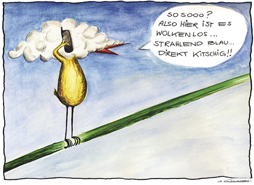 Cartoon: WOLKENLOS (medium) by LA RAZZIA tagged bird,cloud,weather,bad,sky,wolke,vogel,angeber,show,off,handy,mobile,phone