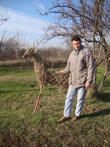 Cartoon: willow sculpture (medium) by geomateo tagged ecosculpture,reindeer,stag,sculpture,willow,deer