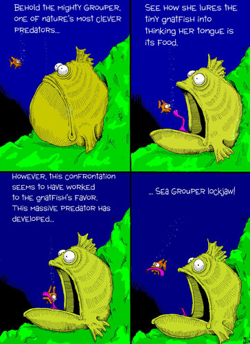 Cartoon: Grouper (medium) by Mike Mason tagged mason