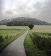 Cartoon: The Path (small) by LunaticArt tagged tree,baum,natur,landscape,landschaft