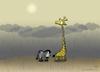 Cartoon: Different point of view (small) by katelein tagged giraffe,zebra,africa,savannah,rain,sunshine