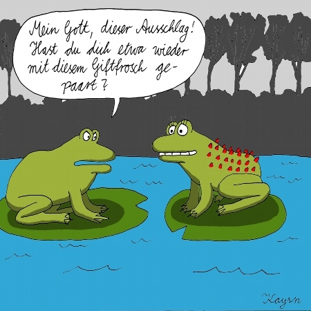 Cartoon: Frosch-Paar (medium) by KAYSN tagged frosch,frösche,paarung,giftfrosch,ausschlag