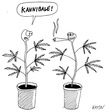 Cartoon: Hanfpflanzen (medium) by KAYSN tagged hanf,cannabis,marihuana,kannibale,kiffen,rauchen