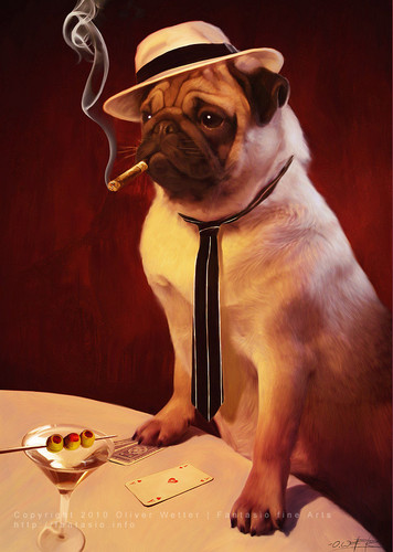 Cartoon: Bella Capone (medium) by fantasio tagged poker,dog,pug,gambling,cards,game,playing,animal,anthro,fur,illustration,mafia,al,capone,illu,cigar,smoking
