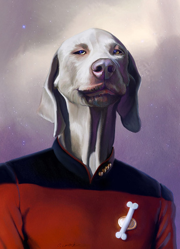 Cartoon: Jean Luc Picard (medium) by fantasio tagged picard,captain,star,trek,dog,portrait