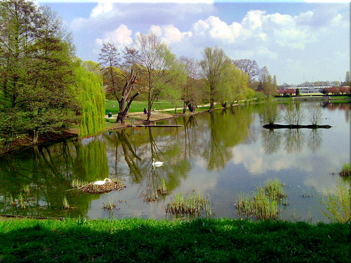 Cartoon: Frühling am Volkspark Mariendor (medium) by lesemaus tagged frühling,volkspark,mariendorf,berlin