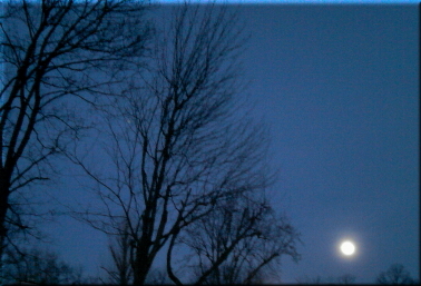 Cartoon: Fruehlingsvollmond (medium) by lesemaus tagged fruehlingsvollmond,vollmond