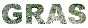 Cartoon: Gras (medium) by lesemaus tagged gras,rasen