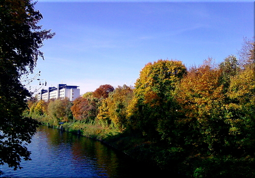 Cartoon: Herbst am Teltowkanal (medium) by lesemaus tagged herbst,teltowkanal