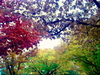 Cartoon: HERBSTFARBEN _COLOURS OF AUTUMN (small) by lesemaus tagged herbst