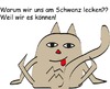 Cartoon: Warum wir uns am Schwanz lecken? (small) by komika tagged schwanz,lecken