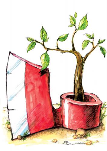 Cartoon: Grow up or down ... (medium) by Liviu tagged tree,axe,grow,