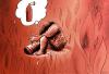 Cartoon: fire (small) by oguzgurel tagged humor