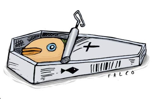 Cartoon: deadfish (medium) by alexfalcocartoons tagged deadfish