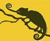 Cartoon: chameleon (small) by alexfalcocartoons tagged chameleon