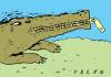 Cartoon: cocrodile (small) by alexfalcocartoons tagged cocrodile