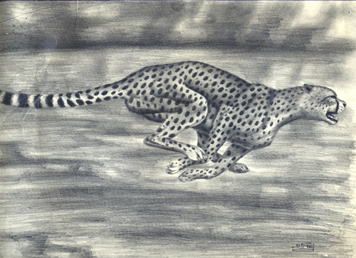 Cartoon: Gepard (medium) by Gocha Dzaganashvili tagged gocha,dzaganashvili,animals,drawing,painting,gepard