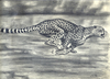 Cartoon: Gepard (small) by Gocha Dzaganashvili tagged gocha,dzaganashvili,animals,drawing,painting,gepard