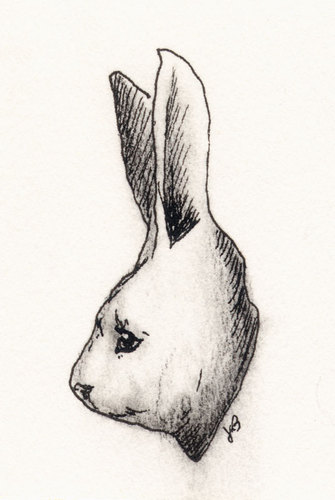 Cartoon: Cute Rabbit (medium) by vokoban tagged pen,and,ink,doodle,drawing,scribble,pencil