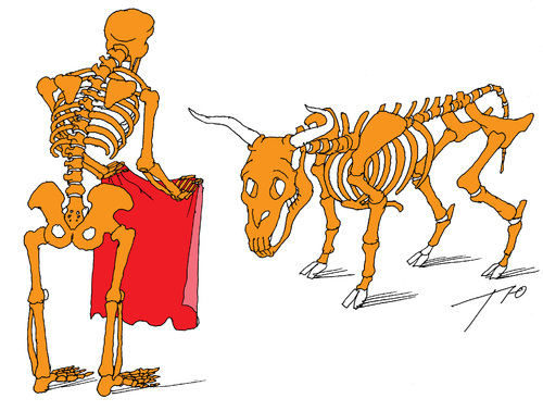 Cartoon: Corrida (medium) by tunin-s tagged corrida