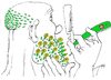 Cartoon: Spring (small) by tunin-s tagged spring